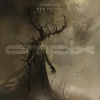Echo Delta - Keturios Ryte