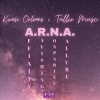 Tullio Musc、Kwesi Orleans - A.R.N.A (Explicit)