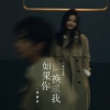 蒋蕙林 - 如果你换成我 (DJ京仔粤语金曲版)