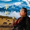 镐天 - 卓玛