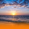 Massage Tribe、Zen Music Garden - Soothing Healing Music And Nature Sounds For Deep Relaxation And Mental Clarity