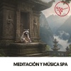 Solfeggio Frequencies 528Hz、Brain Timbre、Amazing Spa Music - Moonlit Serenade
