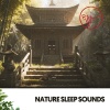 Solfeggio Frequencies 528Hz、The Nature Soundscapes、Focus and Work - Heavenly Drops of Serenity