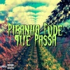 DJ Abravanell、Mc Toy - Piranha Fode que Passa (Explicit)