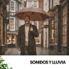 Ruido Blanco Hart、ASMR Rain Sounds、SPA、Relaxation and Dreams - Serene Sunset Vibes