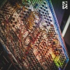 Absolar - Analog Order