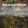 Bird Sound Collectors - Restful Echoing
