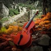 Emotional Healing Intrumental Academy、Pure Relaxation、RelaxHealingSound - Soft Orchestra Cadence