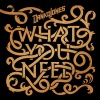 Danko Jones - What You Need