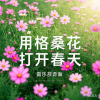 周潇奇 - 用格桑花打开春天