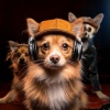 Lofi Realxing Music、Dog Harmony、Relaxation Music For Dogs - Dreamy Bark Waves