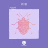 Assem - Vivid