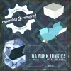 Da Funk Junkies - I Feel the Music