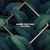 James The Plan - Away for Me