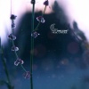 Trouble Sleeping Music Universe - Drifting Beyond Time