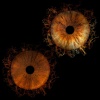 Diel Apollo - Sllip Xes