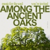 Rainforest Sounds、Boreal Nymphs - The Hollow Trunk’s Echo