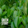 Sounds for Life、Nature Sounds - Close Rain