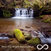Talking Trees、Nature Sounds - Lively Waterstream (Pyrenees, France)