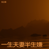 杨金颖 - 一生夫妻半生嫌 (架子鼓版)