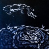 Chrysalis - Far From The Image