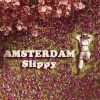 Slippy - Amsterdam