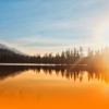Chill Bees、The Sleep Specialist、Soothing Sounds - Peaceful Harp And Piano Melodies With Ambient Music And Nature Sounds For Emotional Healing And Sleep