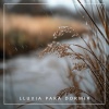 Sonido de Lluvia Natural para Dormir、Chillout Lounge Music - Arroyo Susurrante y Rodante