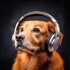 Lofi Beats Instrumental、The Dog Relaxer、Music-to-Relax-Dogs - Deep Comfort Cycles