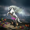 Silla - COME MENTIRE ALL'UNIVERSO (Explicit)