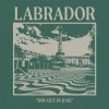 Labrador - Dry Out In June