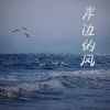 林童学 - 岸边的风