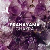 Hz Lifeforce Energy、Chakra Healing Music Academy - I Breathe In Calm Energy
