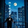 锦上 - 他乡纵有当头月