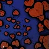 FACIO. - eat your heart <3 (feat. crayon)(Explicit)