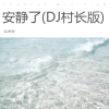 DJ村长 - 安静了 (DJ村长 remix)