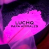 LuchQ - Para Animales