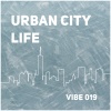 Vibrant - Street Chase