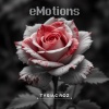 Emotions - Tysiąc róż chcę podarować ci Kochana