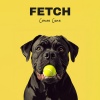 Corse Cane - Fetch