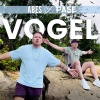 ABES - Vogel