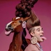 Viral Sound Empire、Mustang The Stallion、Schnitzel Boss - Horse in this House