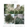 Rhythmic Anomaly - Absent Waters