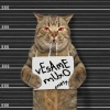 Cnety - Vesame Muxo (Explicit)