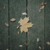 小vie - Last you