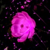 White Noise Therapy、Baby Sleep、Deep Sleep - REM Illuminations