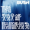 Bush - The Mirror of the Signs