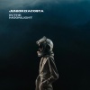 Junior D'Acosta - In the Moonlight