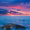 Ocean Waves for Sleep、Ocean Sounds、Relajación - Inertia's Entanglement