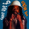 Cocoa Tea - Burn It Down (2025 Remaster)